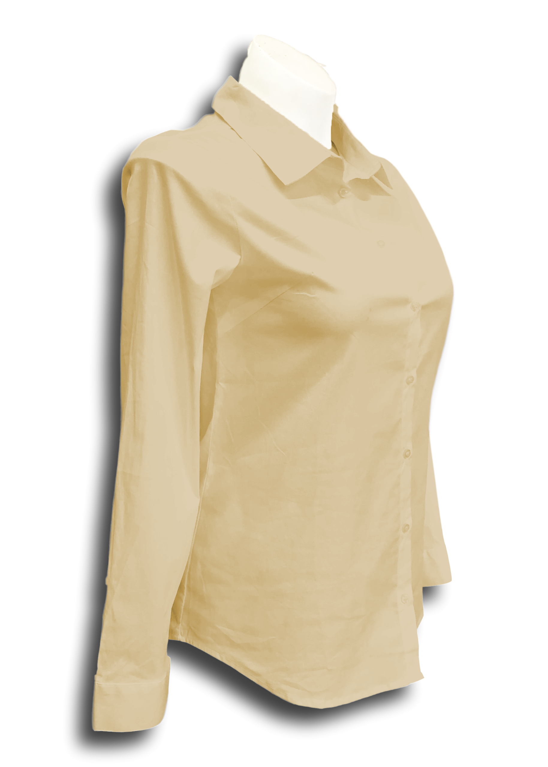Long Sleeved Stretch Button Up Blouse in Tan – Jill