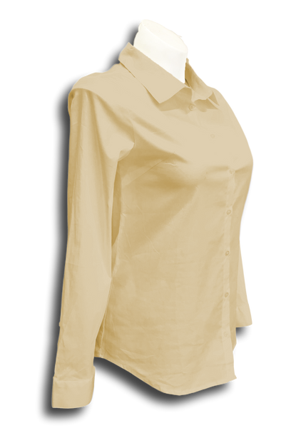 Long Sleeved Stretch Button Up Blouse in Tan